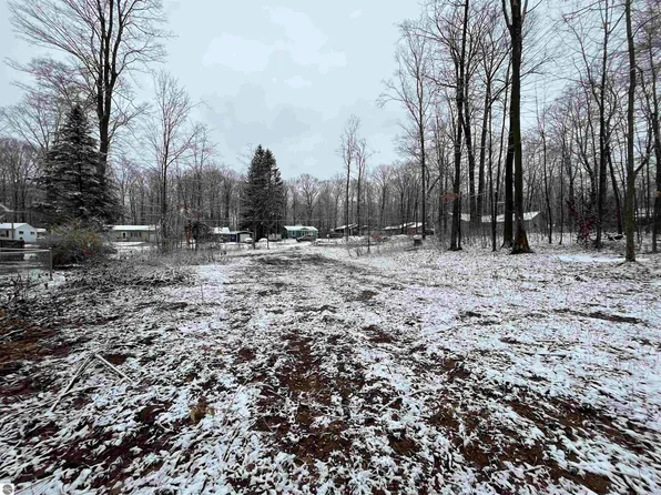 3910 White Birch Dr, Grawn, MI 49637