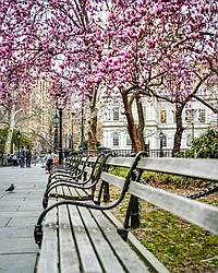 Rented by FirstService Residential (Manual)