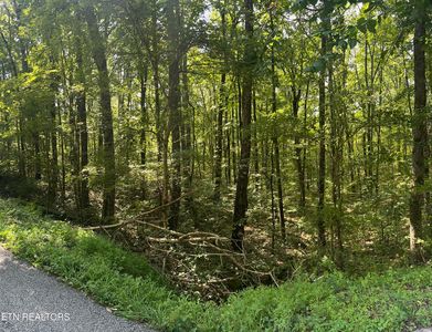 Hickory Hollow Rd #159, Crossville, TN, 38572