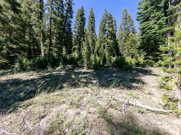 3 Little, Twin Bridges, CA 95735