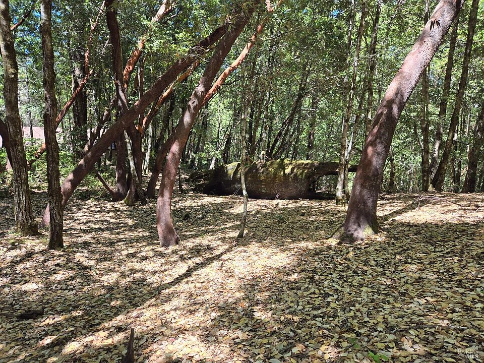 1st image of 1686 Ponderosa Road