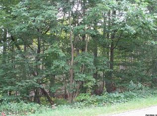48 Alpine Meadows Rd, Porter Corners, NY 12859