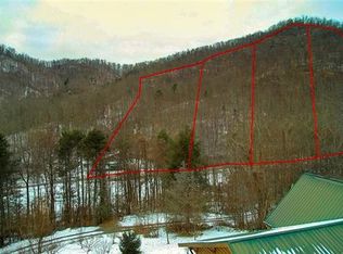 420 Poverty Branch Rd, Barnardsville, NC 28709