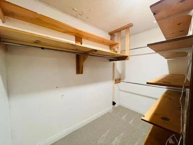 Lower Level Walk-In Closet