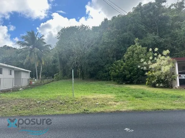 0 Bo Campo Alegre, Hatillo, PR 00659
