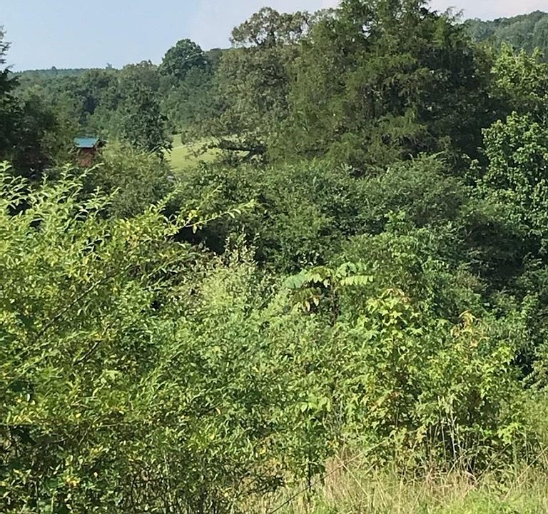 2nd image of 287 County Rd Lot 3