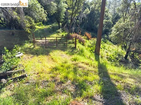 18516 Mastadon Mine Rd, Tuolumne, CA 95379