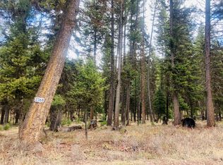 2368 Double Arrow Rd, Seeley Lake, MT 59868