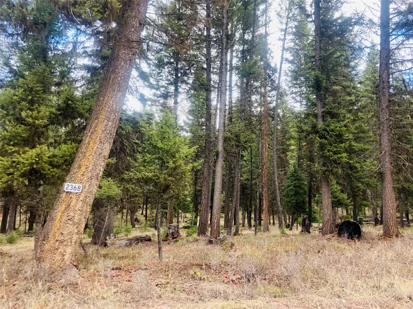 2368 Double Arrow Rd, Seeley Lake, MT 59868