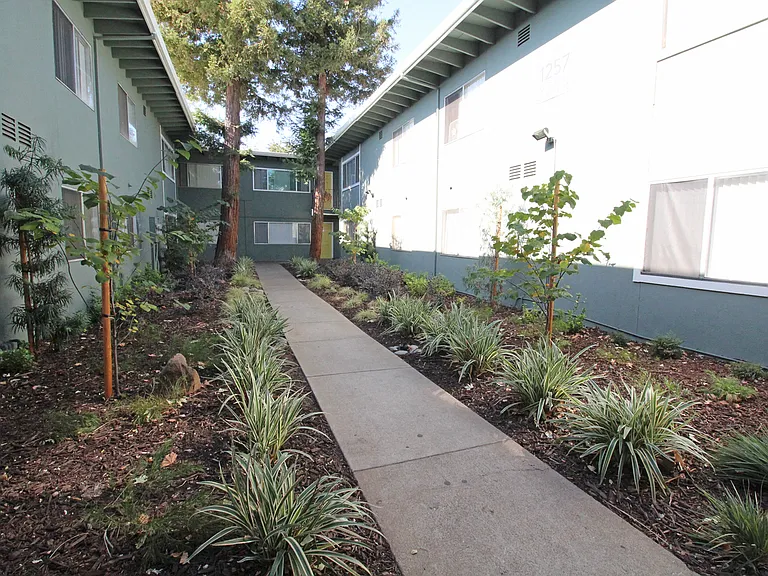 The Canopy | Exterior Building and Pathway