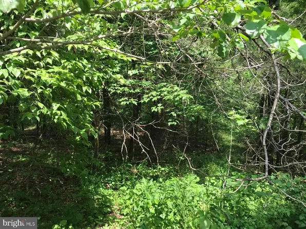 0 Willow Ln, Mount Jackson, VA 22842