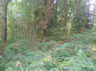 7437 Lewis River Rd, Ariel, WA 98603