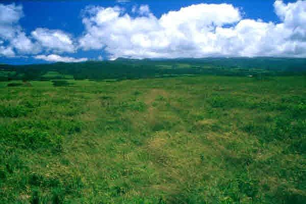 1st image of Akana Pl Lot 2