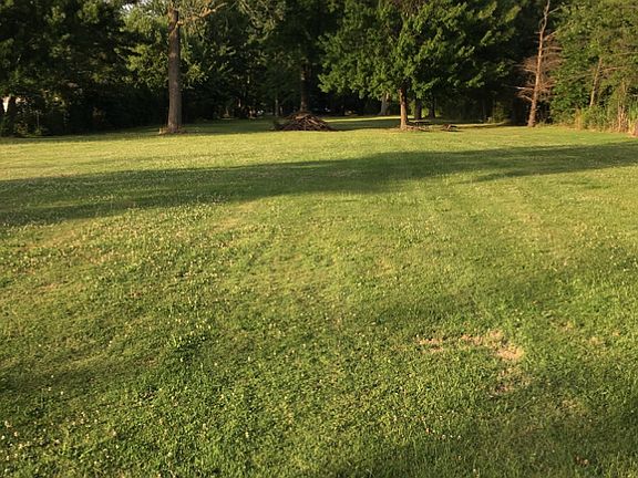 Backyard looks like a park