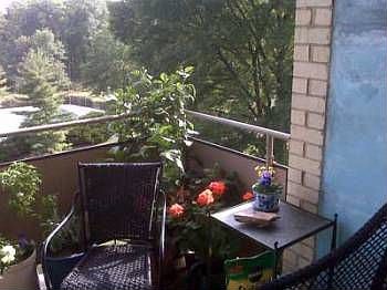 1st image of 6641 Wakefield Dr APT 615