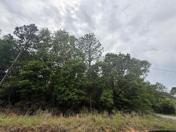 2nd image of 0 Otho Davis Rd