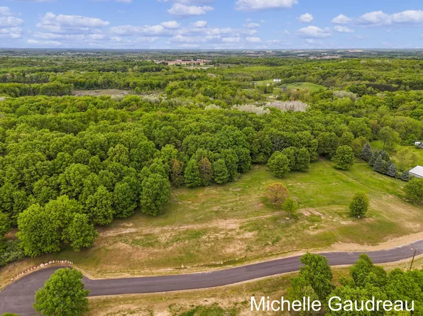PARCEL Eight Leaf Ln, Freeport, MI 49325