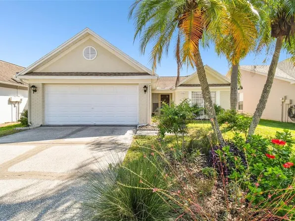 9708 Little Pond Way, Tampa, FL 33647