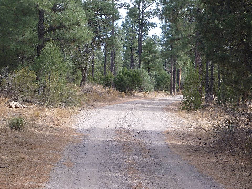 2nd image of 2147 Rimview Trl