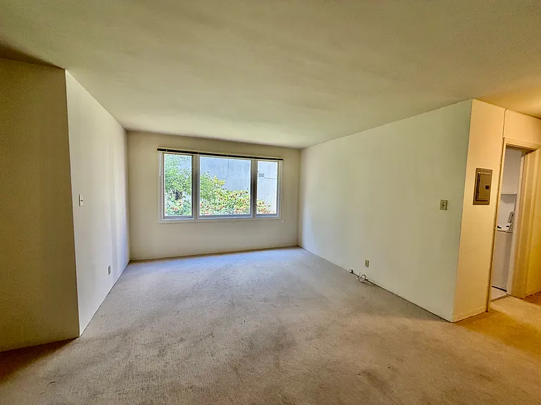 50 Lupine Ave #8 — Photo 3