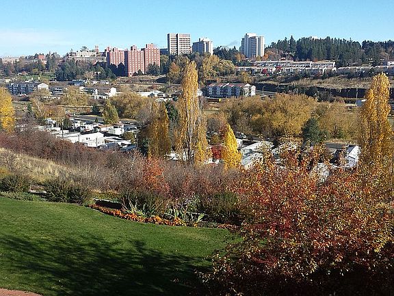 View from the home office.