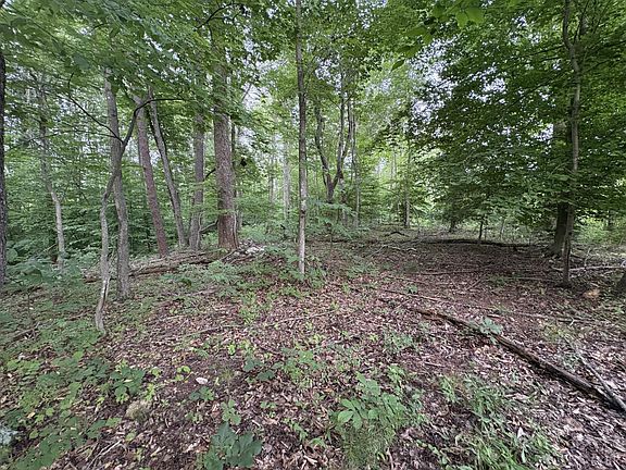 5th image of 0 Leesville Lake Dr Lot 19