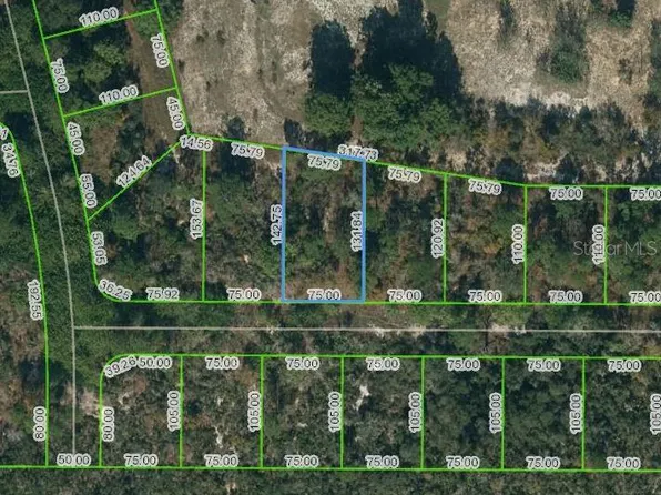 136 Claverland Dr #95, Lake Placid, FL 33852