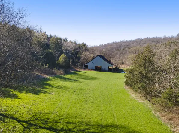 4250 Delina Rd, Cornersville, TN 37047