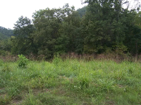 0 Lake Pointe Dr Lot 7, Abingdon, VA 24211