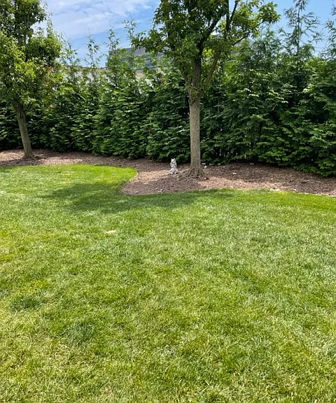 2184 Edwin Ave #2184 — Photo 4