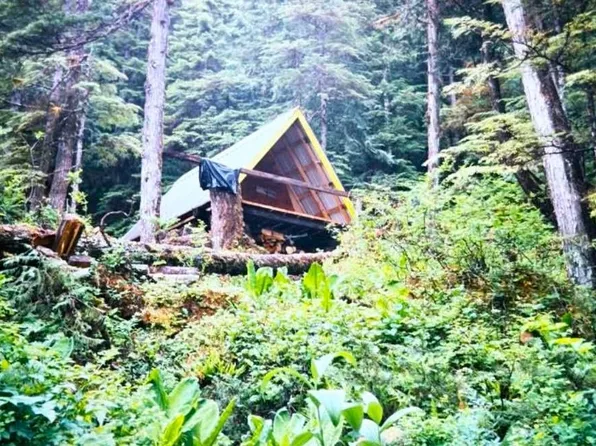Legal Address Only Lot 2, Block Baranof Warm Springs, AK 99835