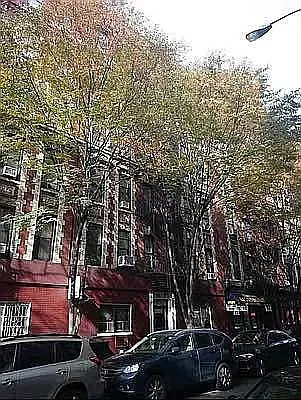 Rented by Jonis Realty | media 8