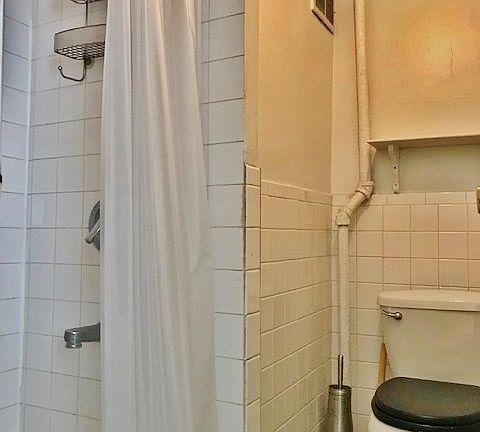 5th image of 517 E 12th St APT 4