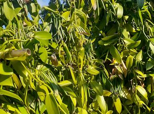 6180 Koolau Rd #23, Anahola, HI 96703