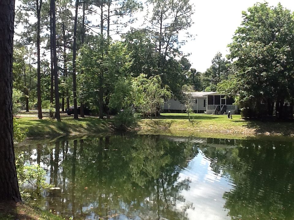 2nd image of 85599 Lonnie Crews Rd
