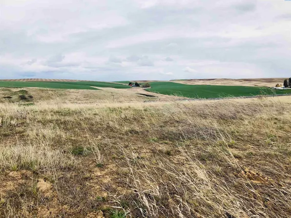 311 Welle Dr, Uniontown, WA 99179