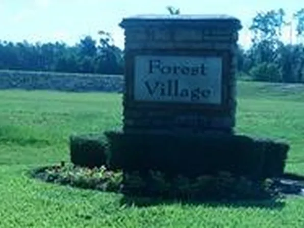 29467 Iris Bloom Ct, Spring, TX 77386