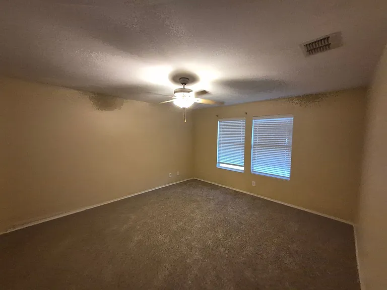 249 Weeping Willow — Photo 16