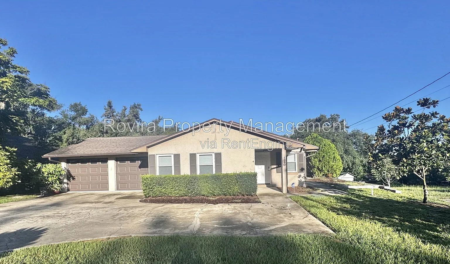 1 bed, 1.0 bath, 800 sqft, $1,250 — Photo 2