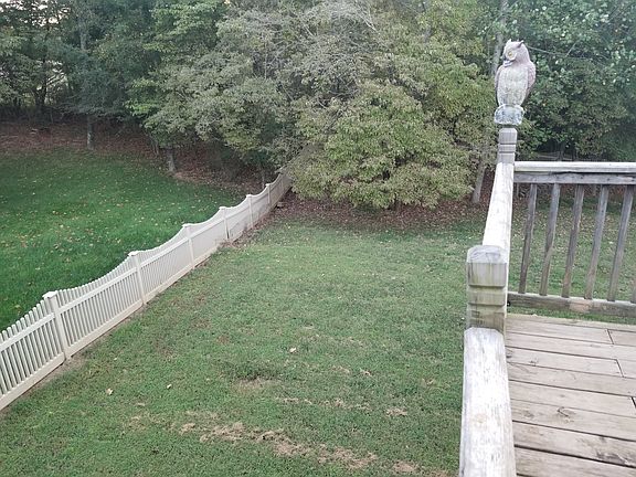 Backyard From Deck