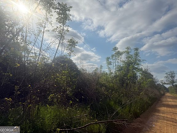 3rd image of 0 Ed Varnadoe Rd