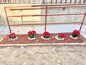 Rented by Delmark Realty LLC