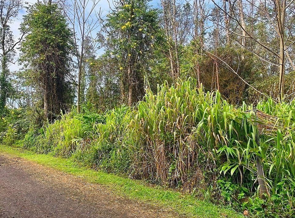 1st image of King Kamehameha Blvd Lot 8