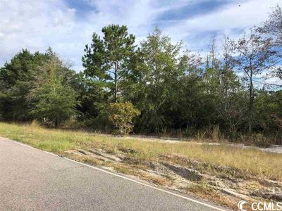 TBD Francis Marion Dr., Georgetown, SC, 29440