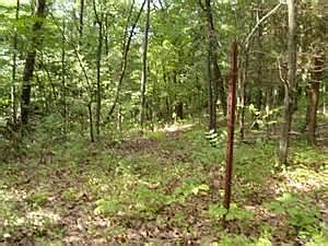 1st image of 96 Green Valley Dr #96