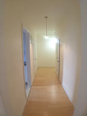 Rented by Newcastle Realty Services | media 16