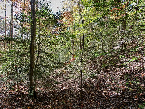 2nd image of 99999 Watia Rd