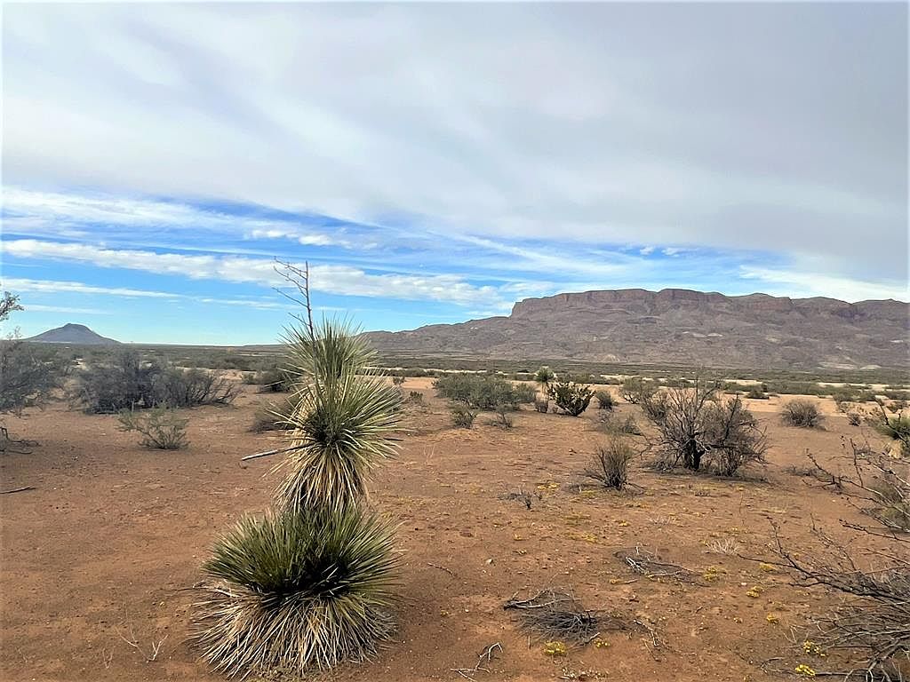 8513 Private Rd, Terlingua, TX 79852 MLS 137691 Zillow
