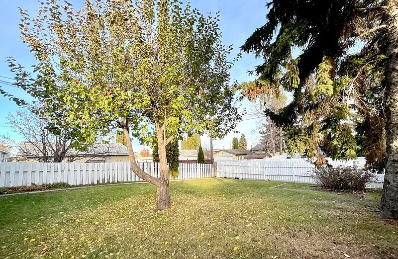 4 bed, 2.0 bath, 1060 sqft, $1,950 — Photo 4
