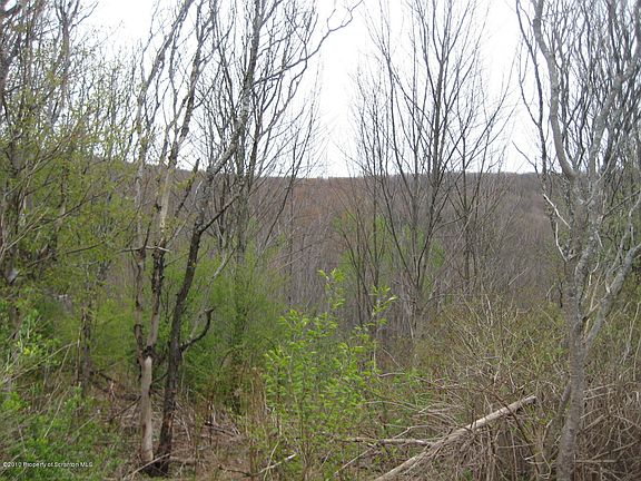 5th image of 37 Hemlock Dr